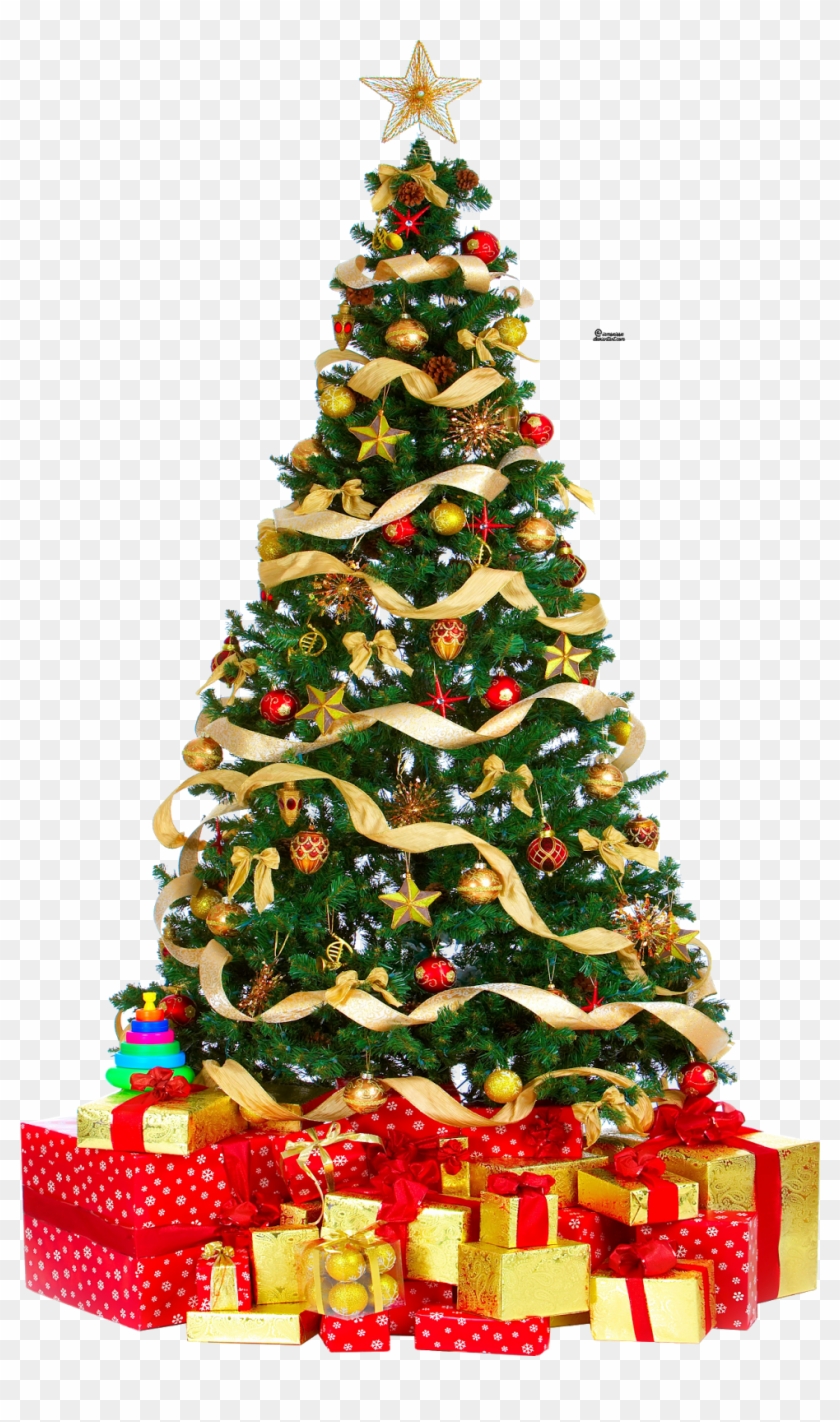 Christmas Tree Png Pic - Christmas Tree Png Gif Clipart #6533