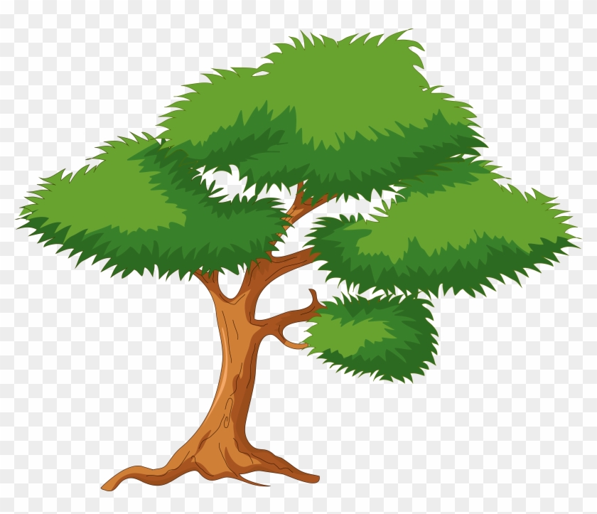 Green Cartoon Tree Png Clip Art - Tree With Branches Cartoon Transparent Png