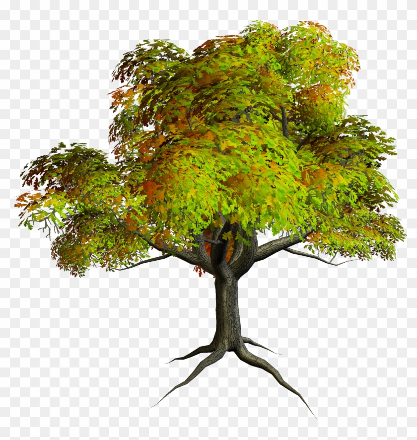Autumn Png Tree Clipart - Photoshop Edit Background Hd Transparent Png #6728