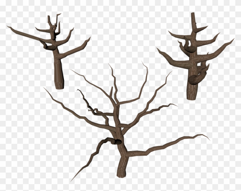 Cartoon Dead Tree 14, Buy Clip Art - Tree - Png Download #6996