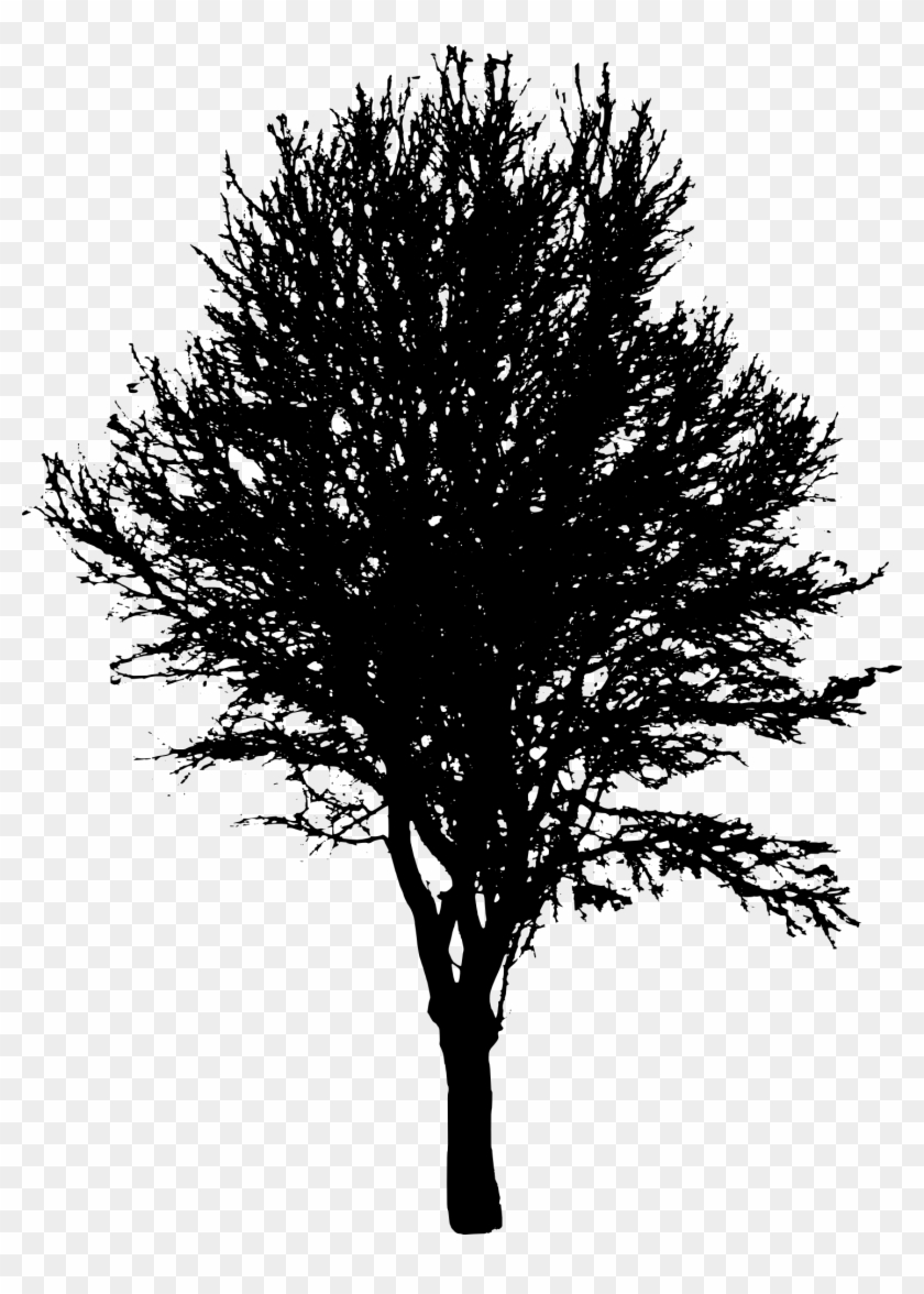 Free Download - Transparent Silhouette Trees Png Clipart #7101