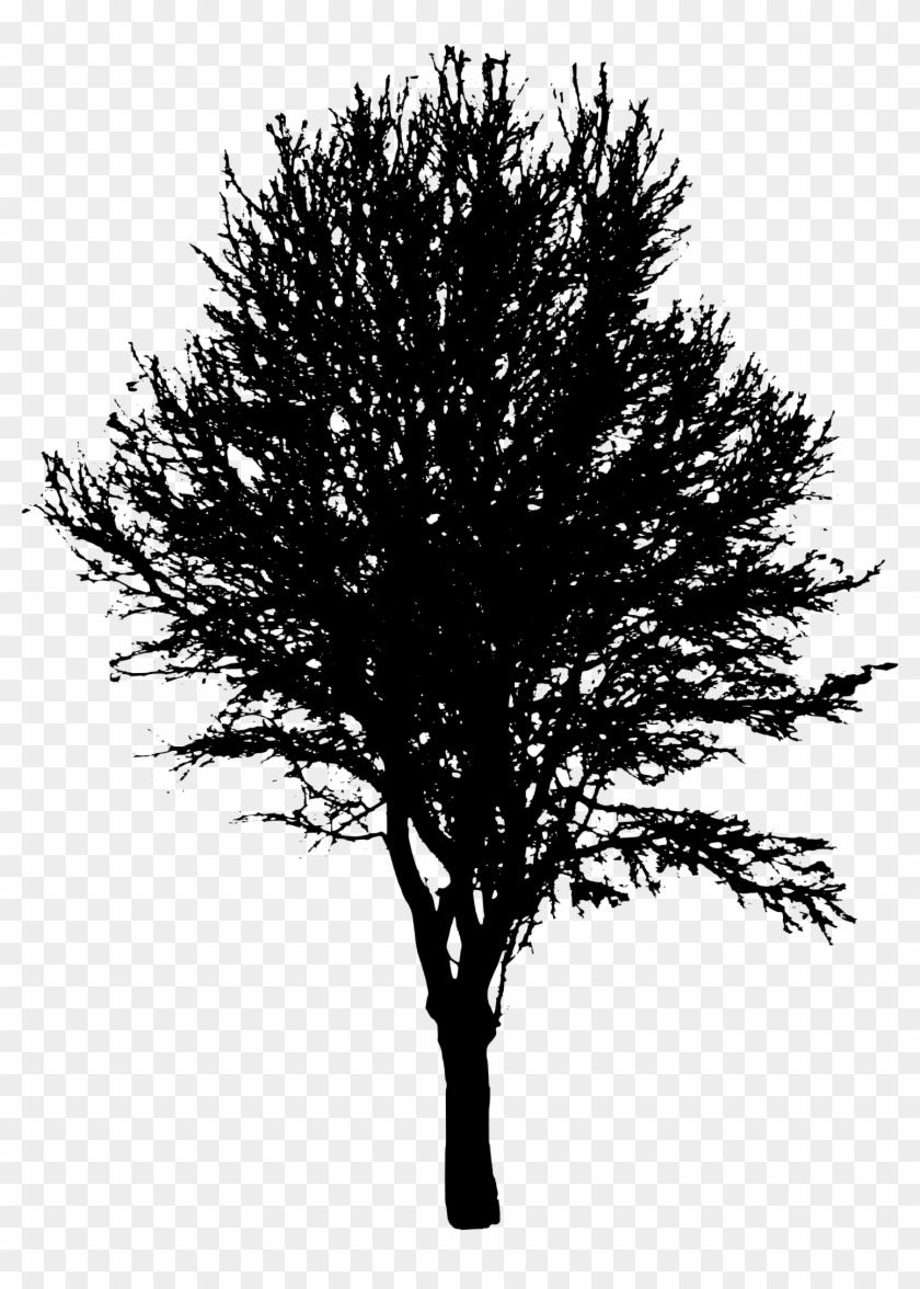 Free Download - Transparent Silhouette Trees Png Clipart