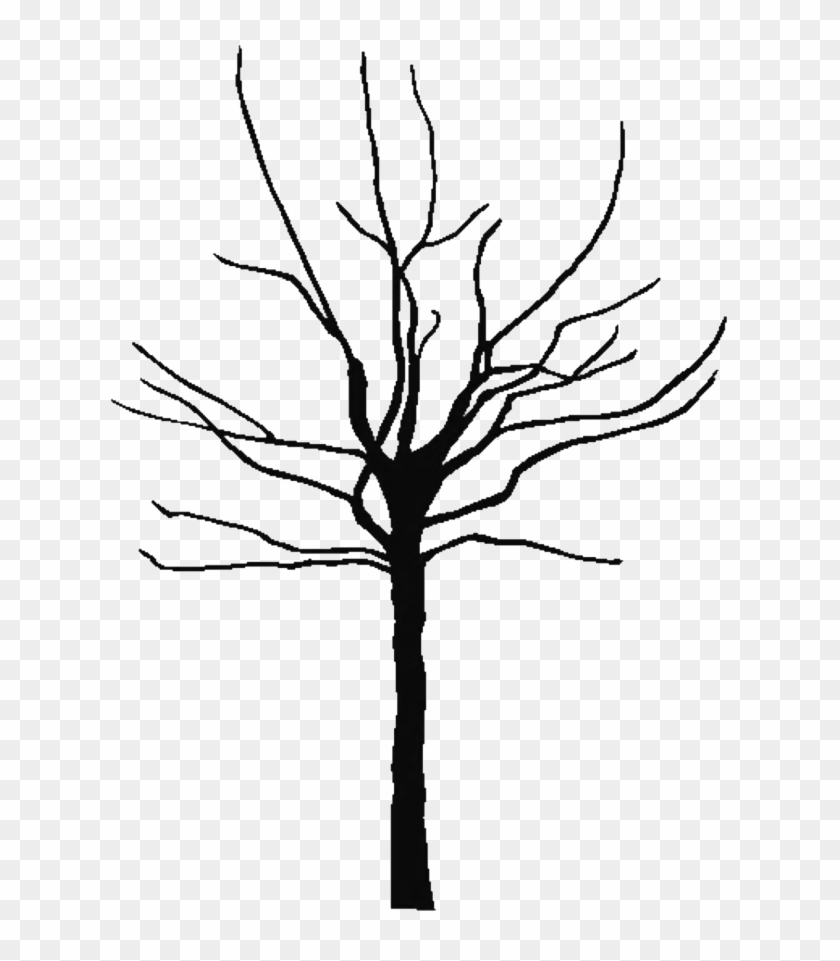 Png Outline Backgrounds Wallpapers Free Download - Clip Art Trees Black And White Transparent Png