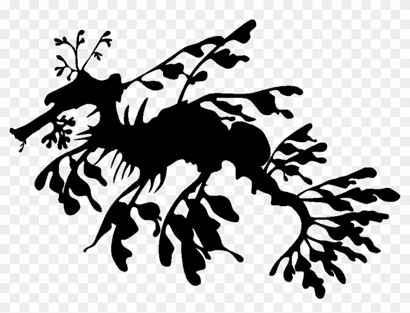 Leafy Sea Dragon Silhouette - Leafy Sea Dragon Drawing Clipart