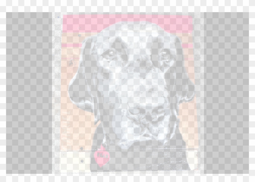 Society6 - Weimaraner Clipart