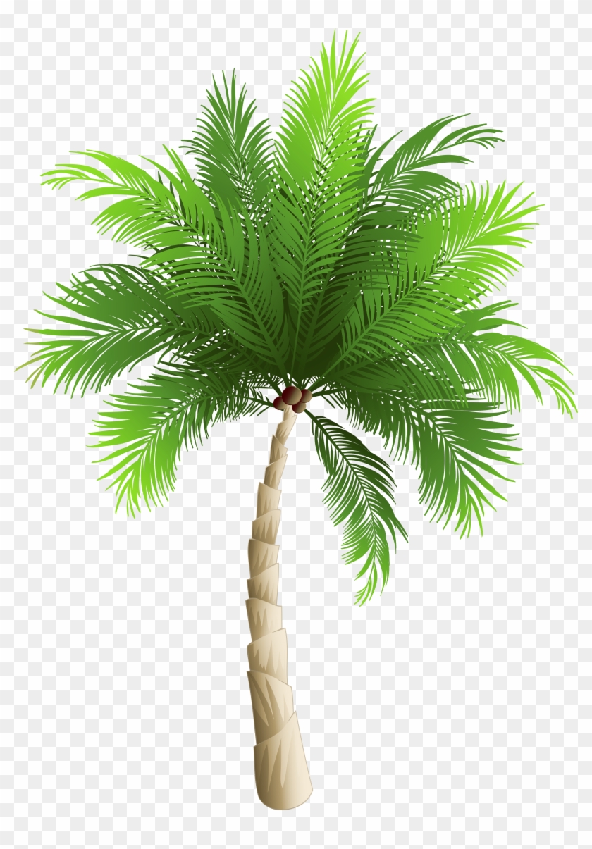 Free Png Download Palm Tree Png Images Background Png - Transparent Palm Tree Png Clipart #7900