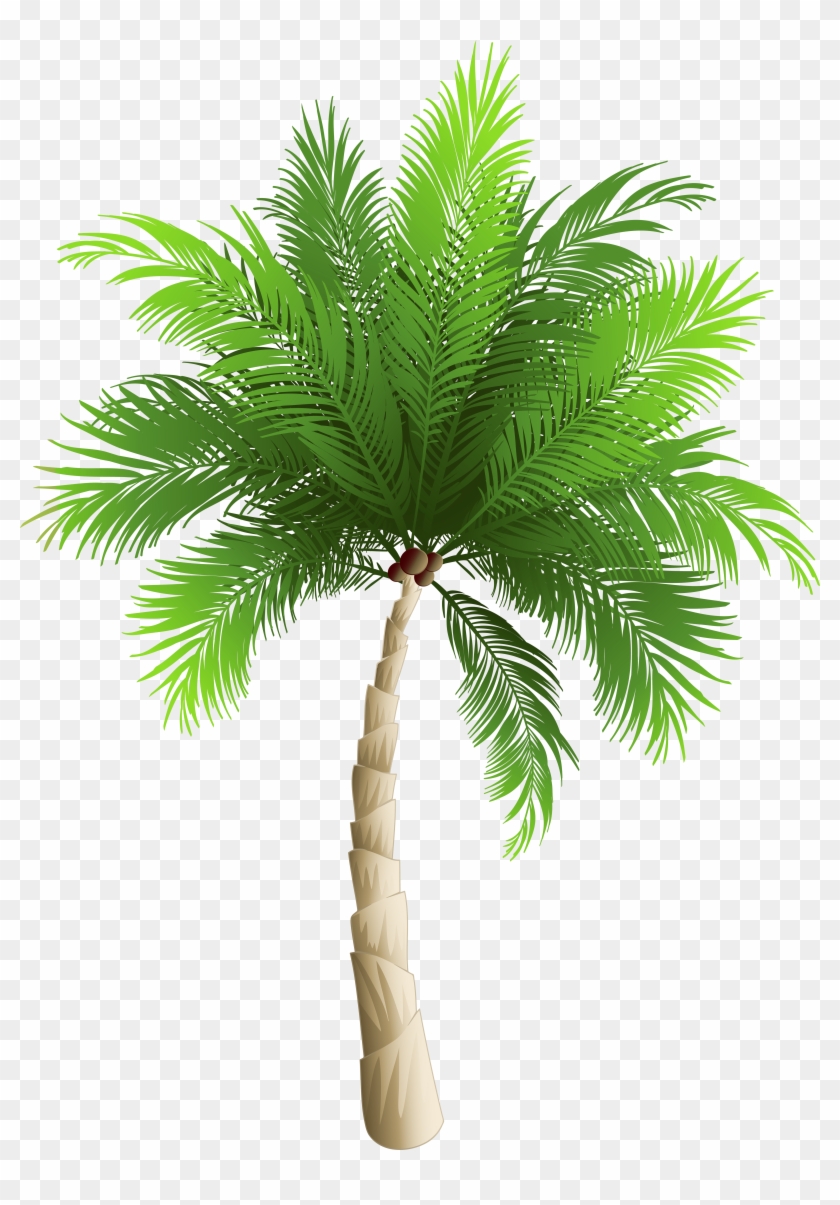 Free Png Download Palm Tree Png Images Background Png - Transparent Palm Tree Png Clipart