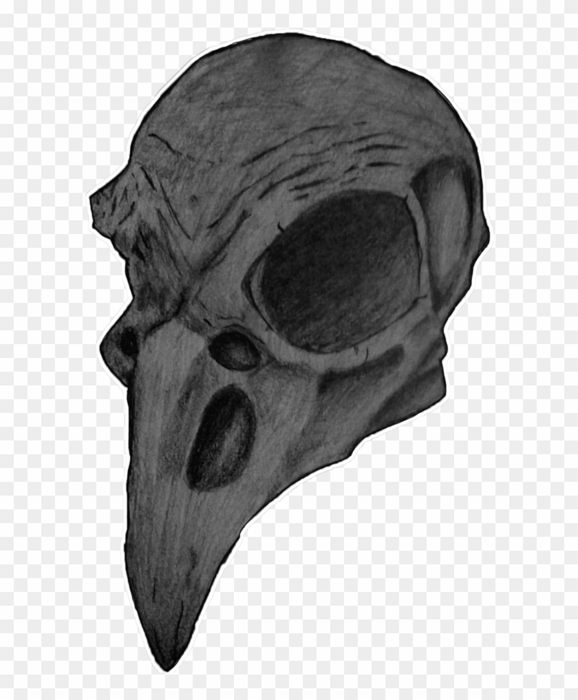 Bird Skull Png - Skull Clipart #794