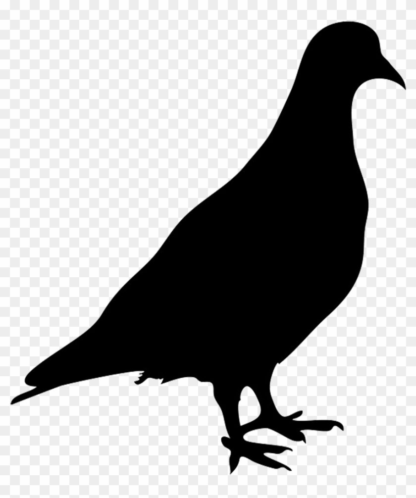 Svg Black And White Silhouette Of Png Wassu Pinterest - Silhouette Of Pigeon Clipart #8132