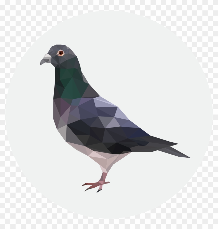Critical Role Metagaming Pigeon , Png Download - Land Pigeon Clipart #8445
