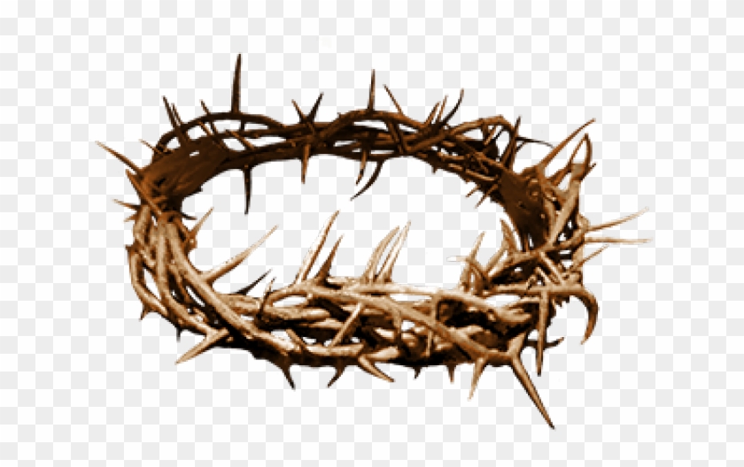 Thorns Clipart Crown Thorns - Transparent Background Crown Of Thorns - Png Download