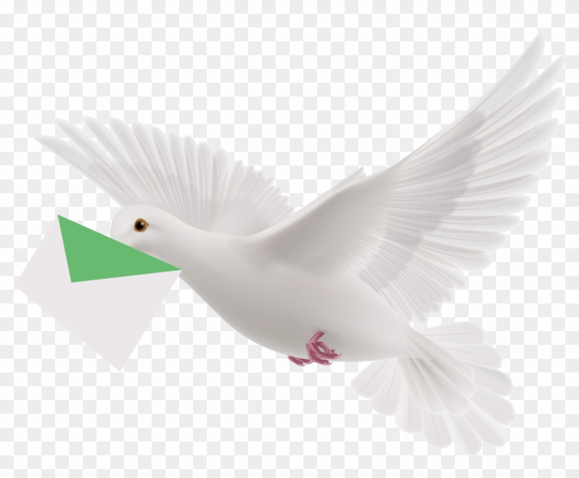 Flying Pigeon Clipart