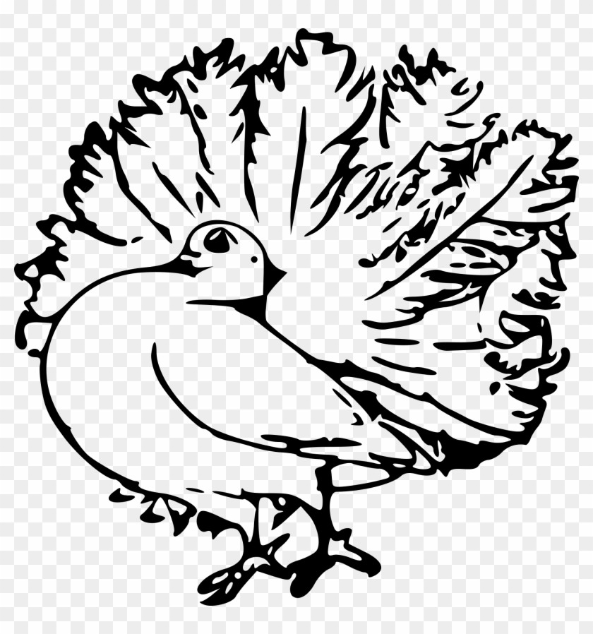 Pigeon Svg Clip Arts 582 X 595 Px - Png Download #8857