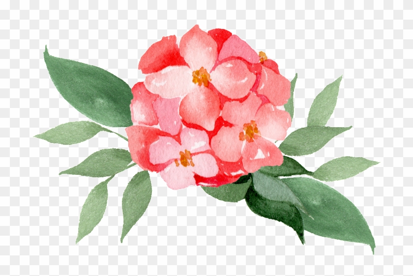 Floral Flower Ball Transparent - Japanese Camellia Clipart #9026