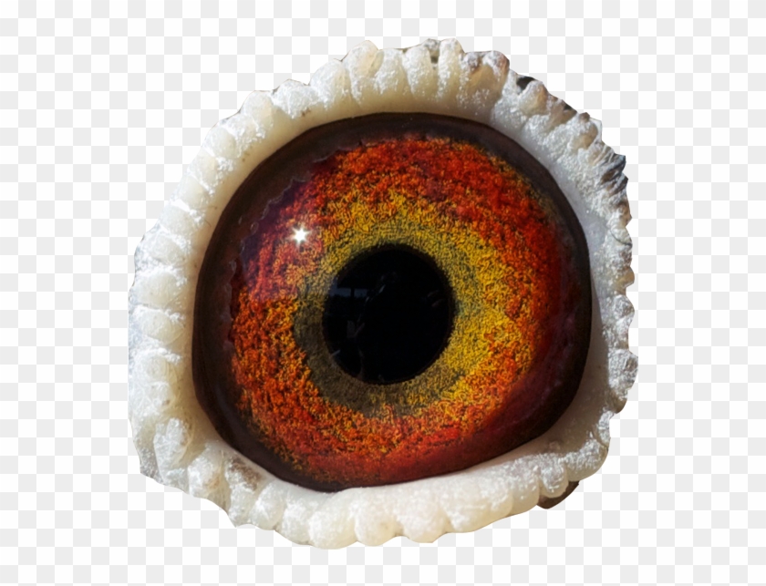 Au 2010 M Smith - Monster Eye Png Clipart #9073