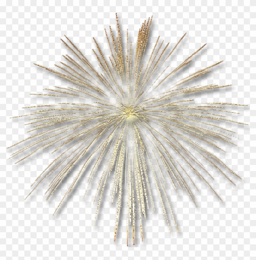 Fireworks Transparent Gold Effect Png File Hd Clipart - Gold Fireworks Transparent Background #9171