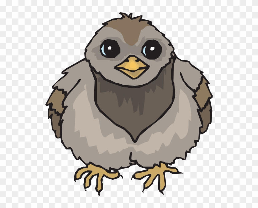 Pigeon Baby Svg Clip Arts 546 X 596 Px - Png Download