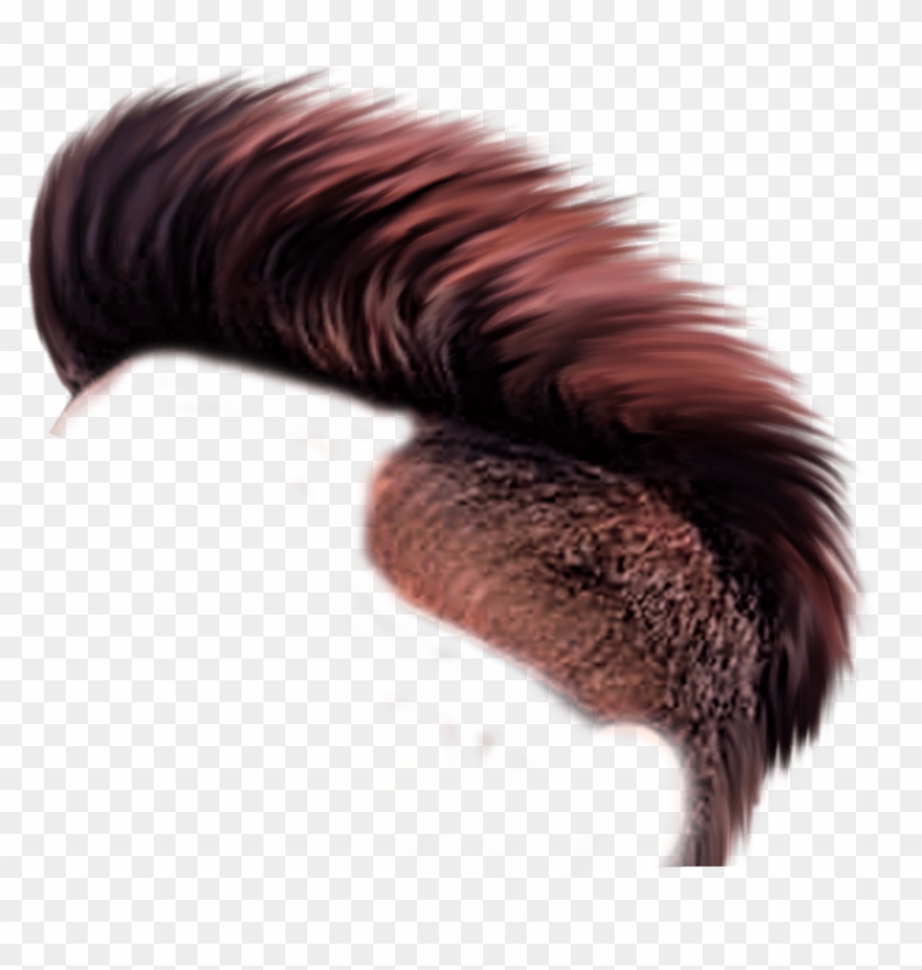 Cb Hair Png Hd Download New Hair Png Zip File Download - Cb Edit By Hair Png Clipart