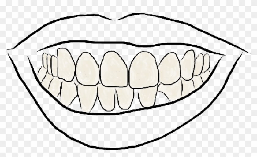 Free Png Download Outline Image Of Teeth Png Images - Line Art Clipart