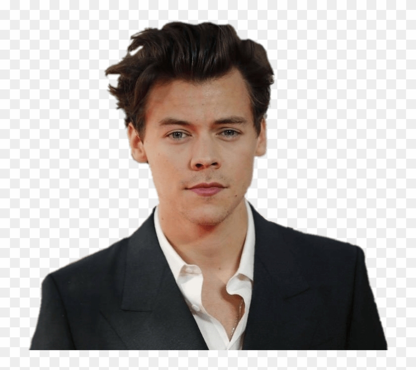 Music Stars - Harry Styles Kiko Mizuhara Clipart #9931