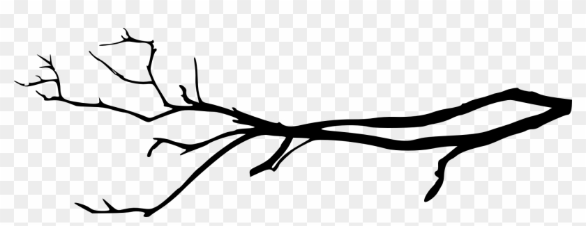 Free Download - Transparent Tree Branch Png Clipart #10398