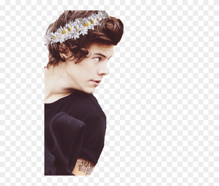 Image Result For Harry Styles Background Twitter Tumblr - Harry Styles Transparent Background Clipart