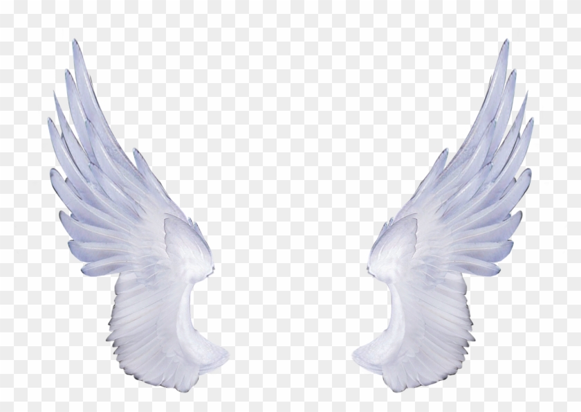 Angels Png - Asas De Anjo Anime Clipart