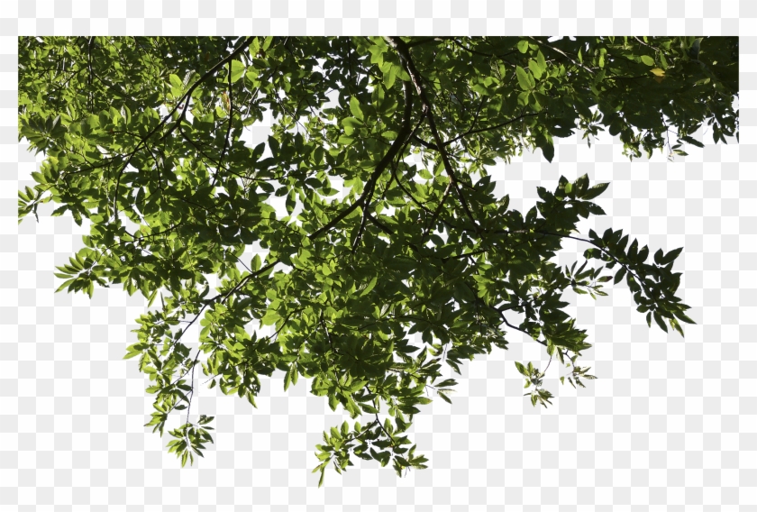 Go To Image - Exterior House Designs In India Clipart #10945