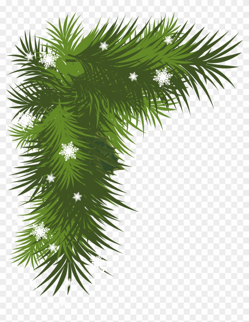 Clip Art Black And White Download Collection Of High - Pine Tree Leaves Png Transparent Png #11011