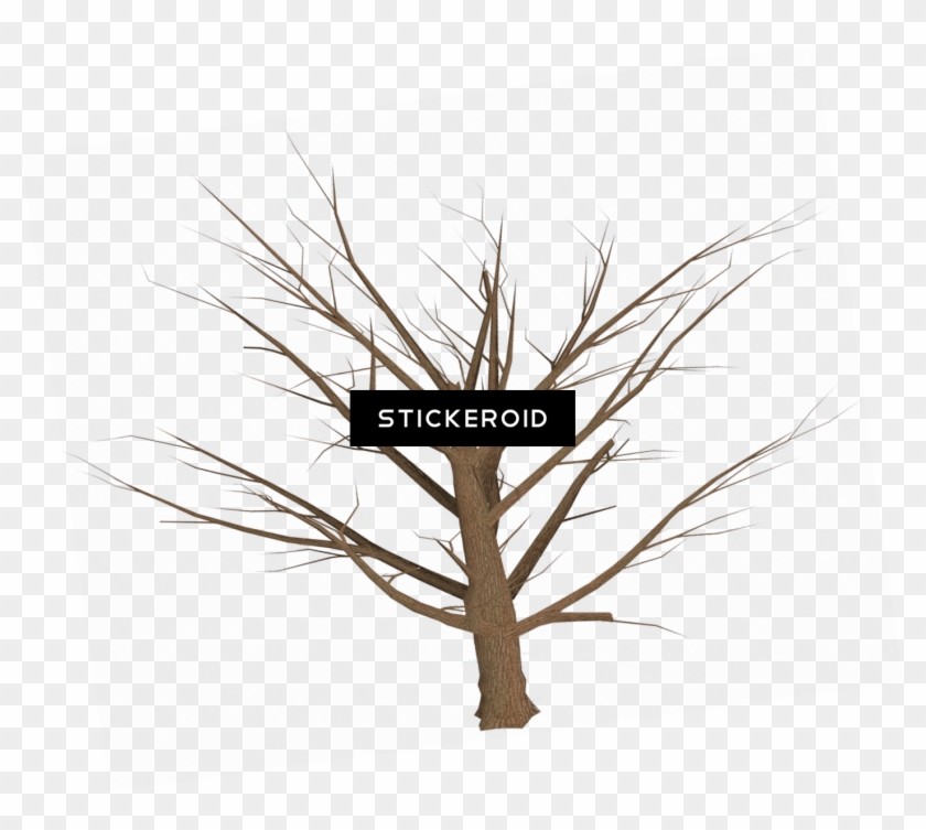Dead Tree Empty Branches - Illustration Clipart