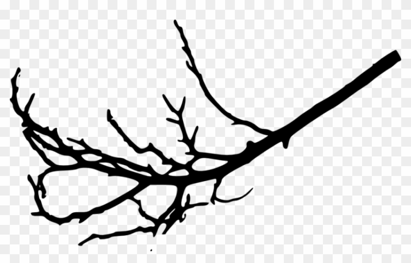 Free Png Tree Branches Silhouette Png Images Transparent - Tree Branch Transparent Background Clipart