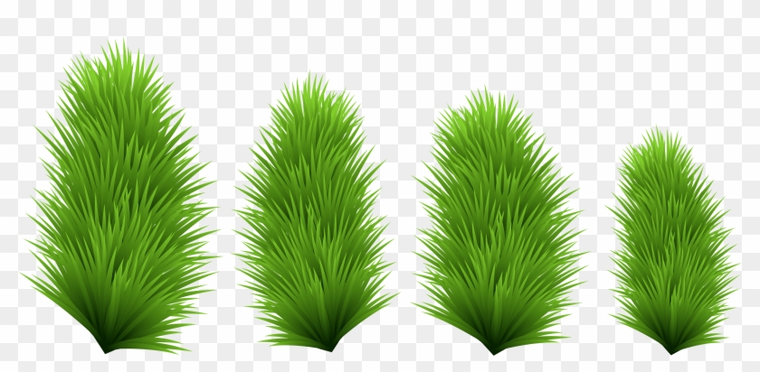 Tree Branches Png , Png Download Clipart #11816