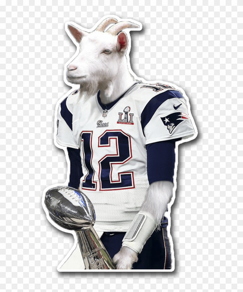 Tom Brady Goat - Goat With Tom Brady Jersey Clipart (#12162) - PikPng
