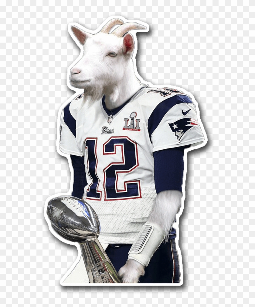 Tom Brady Goat - Goat With Tom Brady Jersey Clipart