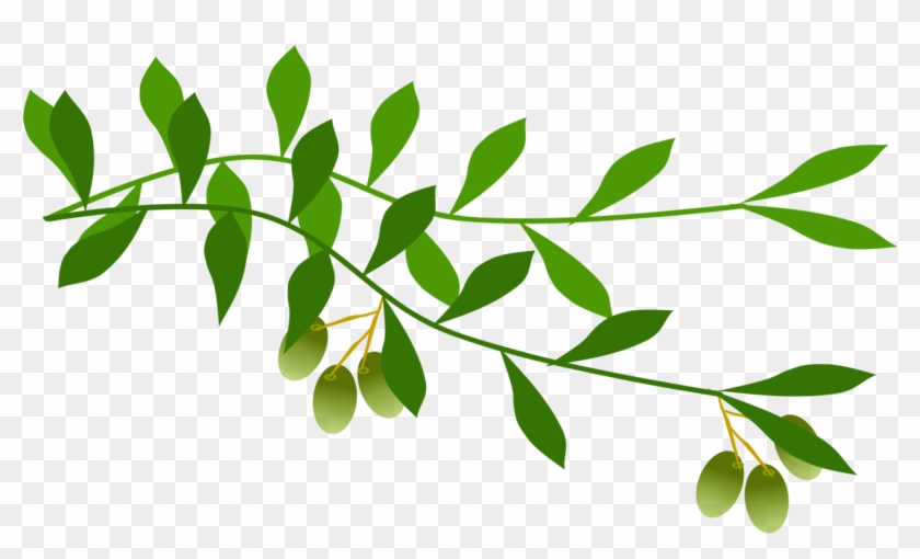 Olive Branch Leaf Laurel Wreath Tree - Olive Branch Free Clip Art - Png Download #12205