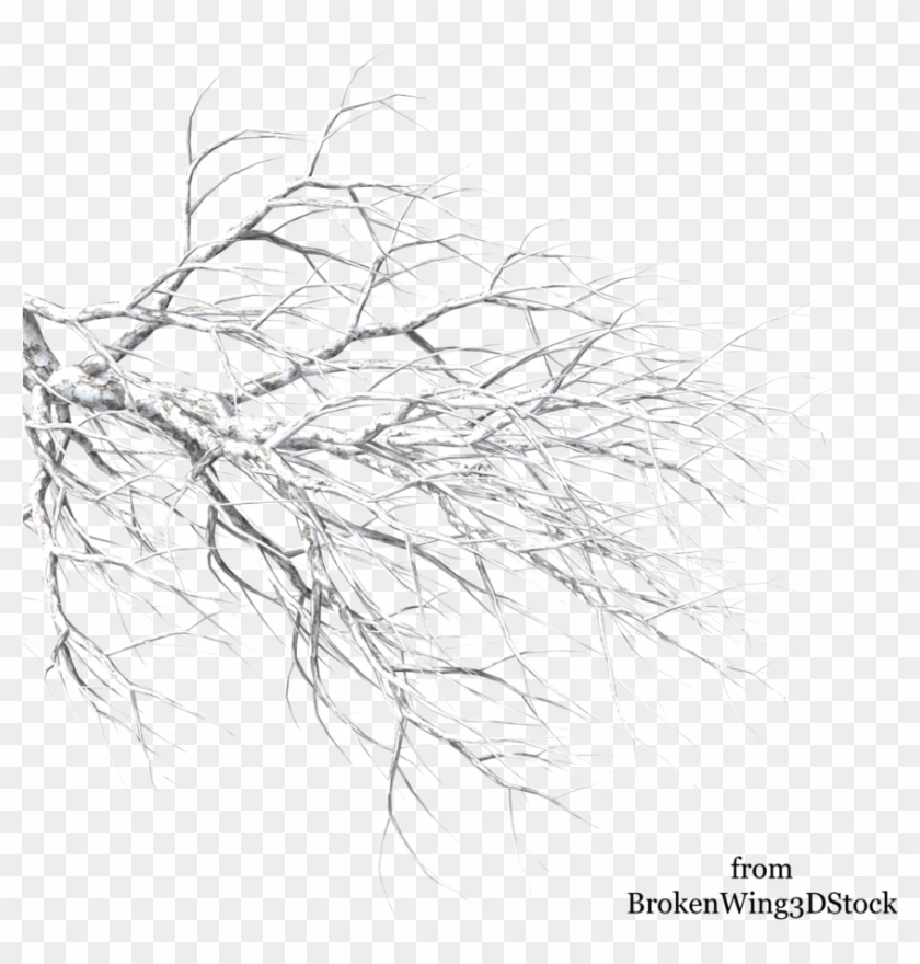 Winter Tree Branch Png Clipart