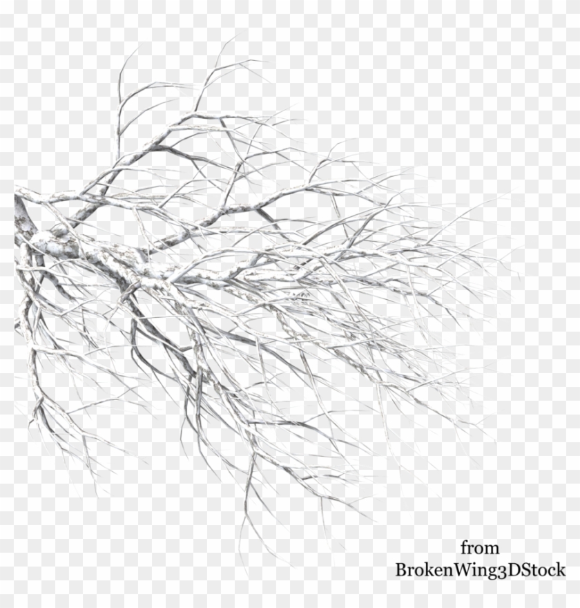 Winter Tree Branch Png Clipart #12254