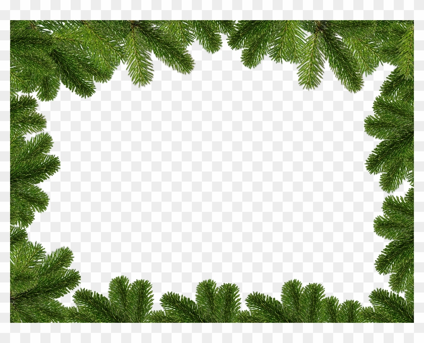 Christmas Background With Fir Branches Free Download - Ramos De Pinheiro Natal Clipart #12470