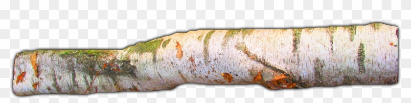 06 Feb 2009 - Large Tree Branch Png Clipart #12563