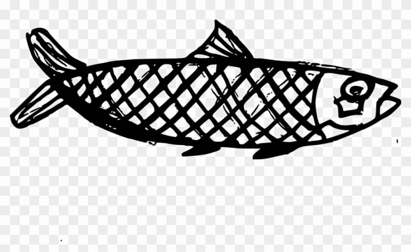 Png File Size - Fish Drawing Transparent Clipart #12691