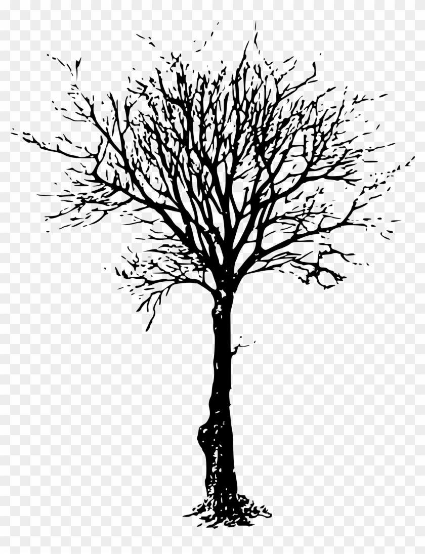 Clipart - Leafless Tree - Black Dead Tree Silhouette - Png Download
