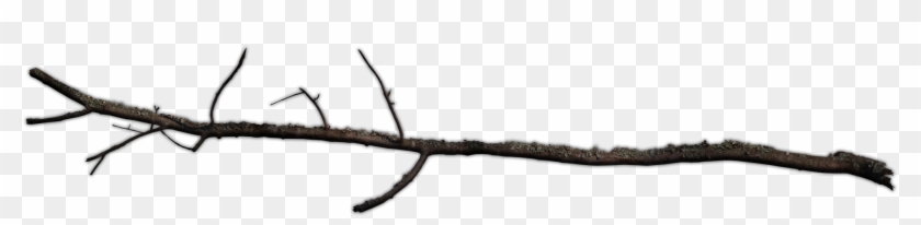 Clip Black And White Library Branch Transparent Stick - Transparent Branch Png