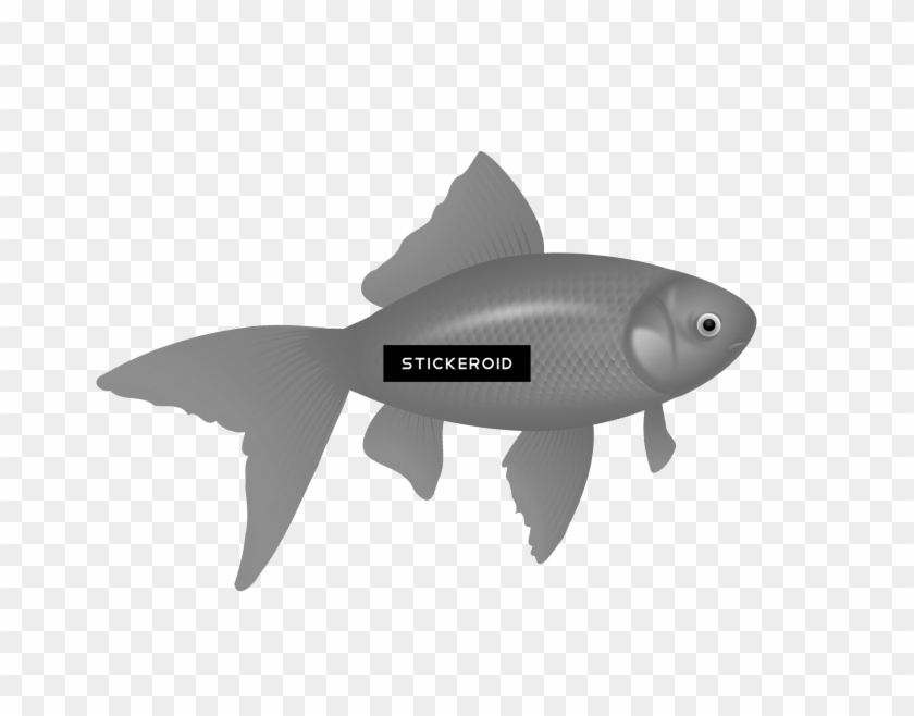 Double Koi Fish Tattoo - Pomacentridae Clipart #13177