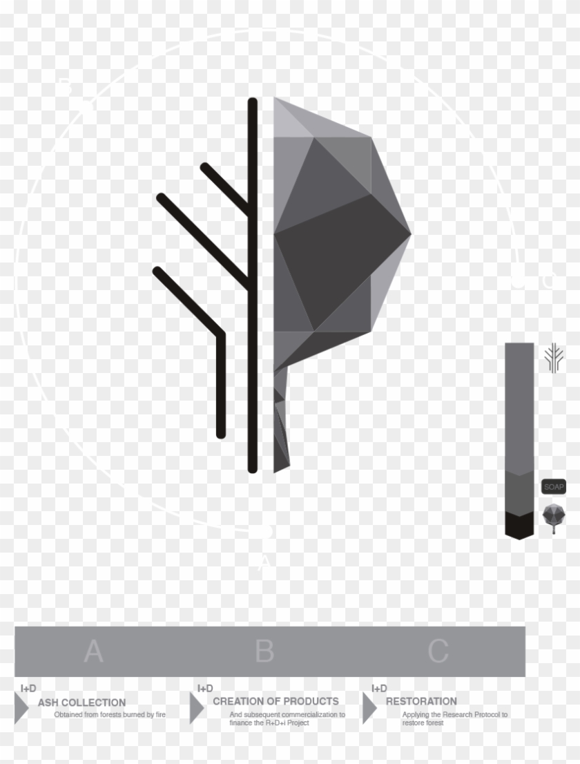 For Ashes To Life, It Is Necessary To Develop The Project - Graphic Design Clipart