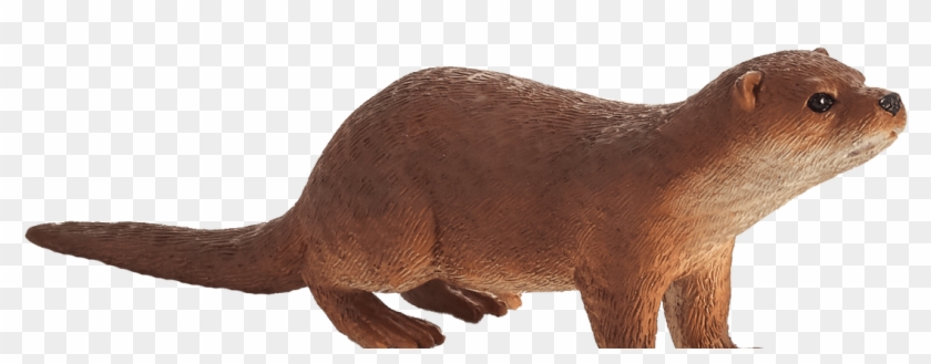 Otter Mojo - Otter Clipart