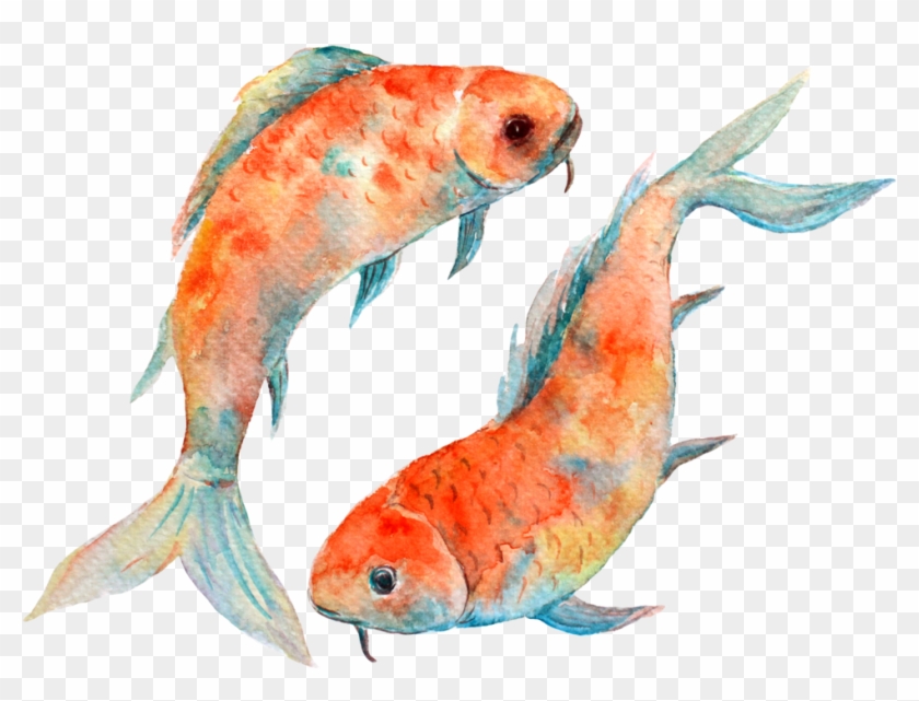 Pisces Png - Watercolor Pisces Fish Clipart #13732