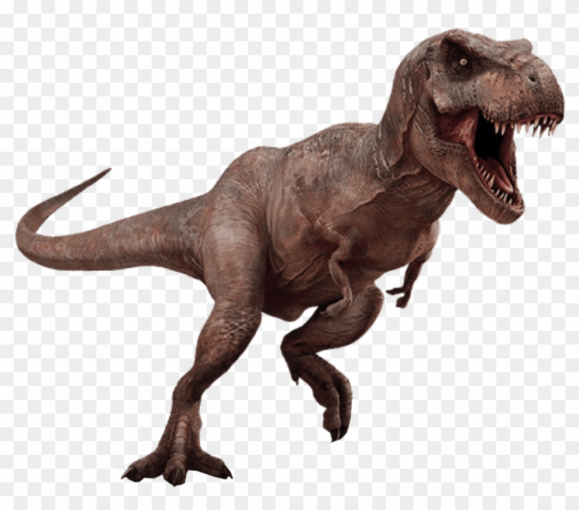 T Rex Dinosaur Transparent Background - T Rex No Background Clipart