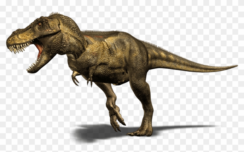 T-rex Pic - Tiranosaurio Rex Clipart #13840