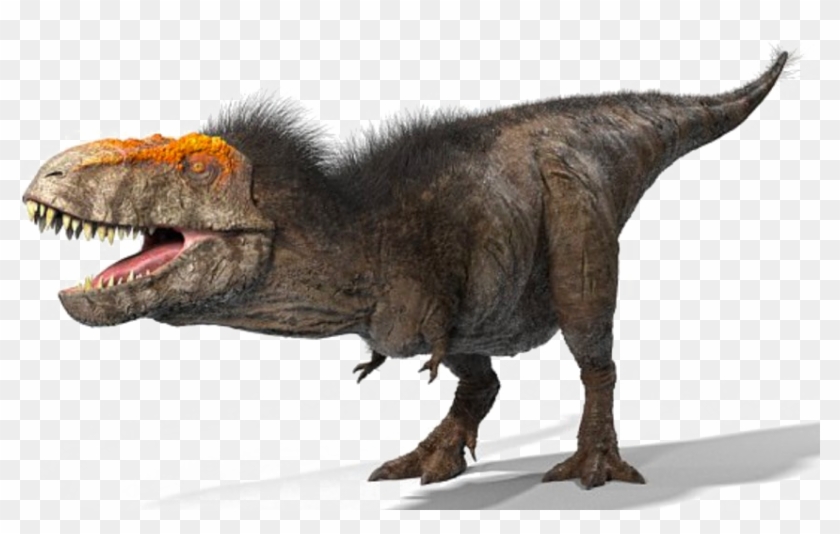 T Rex Png Clipart - T Rex Looked Like Transparent Png #13944