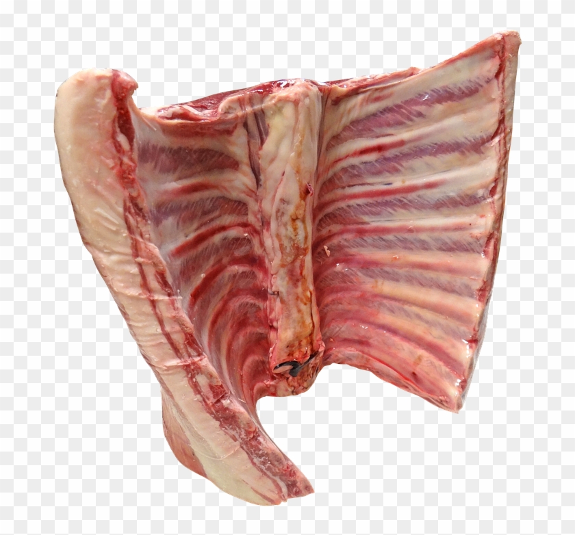 Meat Png Download Image - Silla De Cordero Clipart #14253